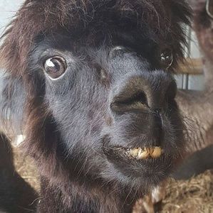 Meet your Posher, Keith